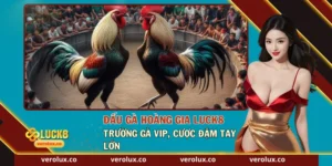 Đấu Gà Hoàng Gia Luck8 – Trường Gà VIP, Cược Đậm Tay Lớn