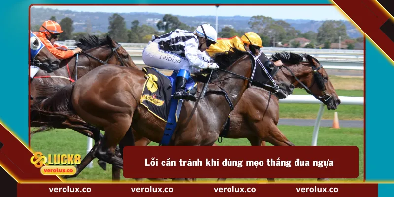 Lỗi cần tránh khi dùng mẹo thắng đua ngựa