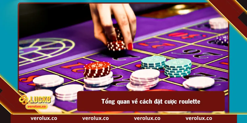 Tổng quan về cách đặt cược roulette