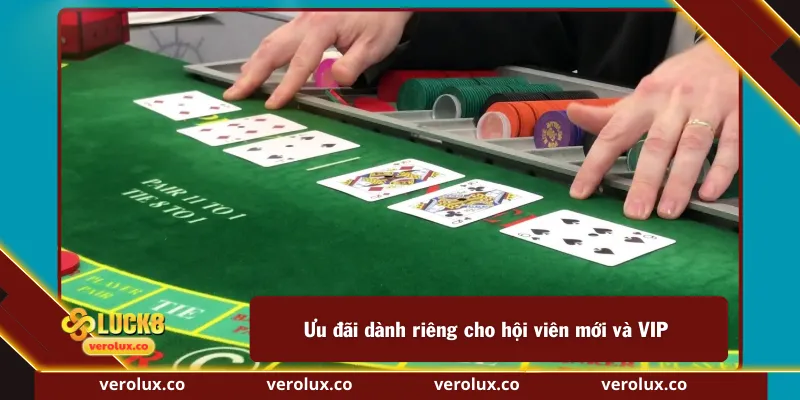 Ưu đãi dành riêng cho hội viên mới và VIP